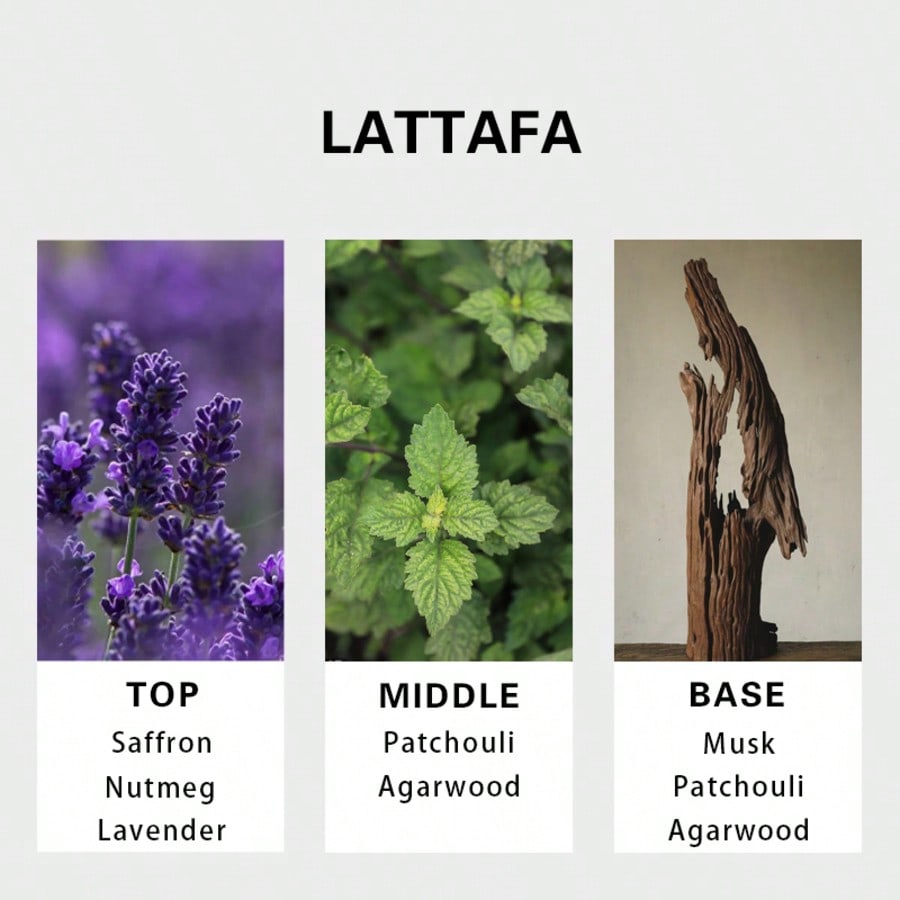 Lattafa Badee Al Oud For Glory - Perfume Fragrances review and price