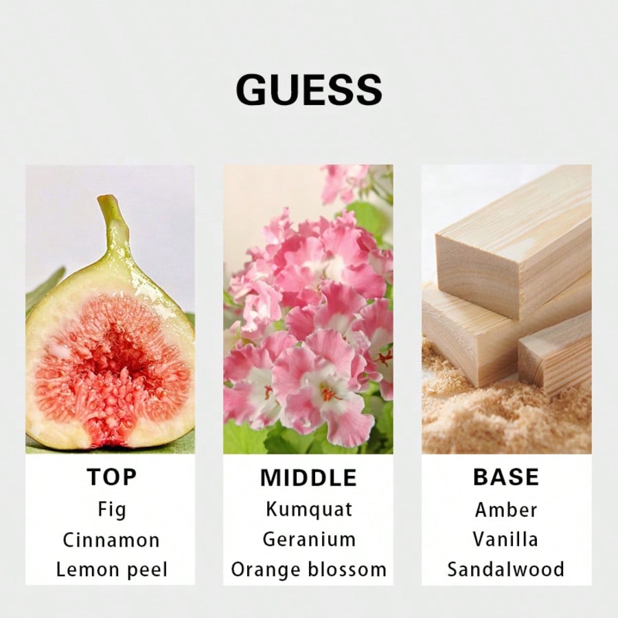 Guess Seductive Homme Redmen E - Perfume Fragrances review and price